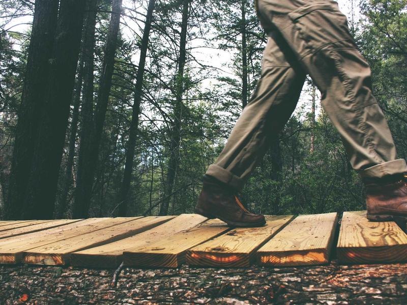 sudoku cognitive benefits